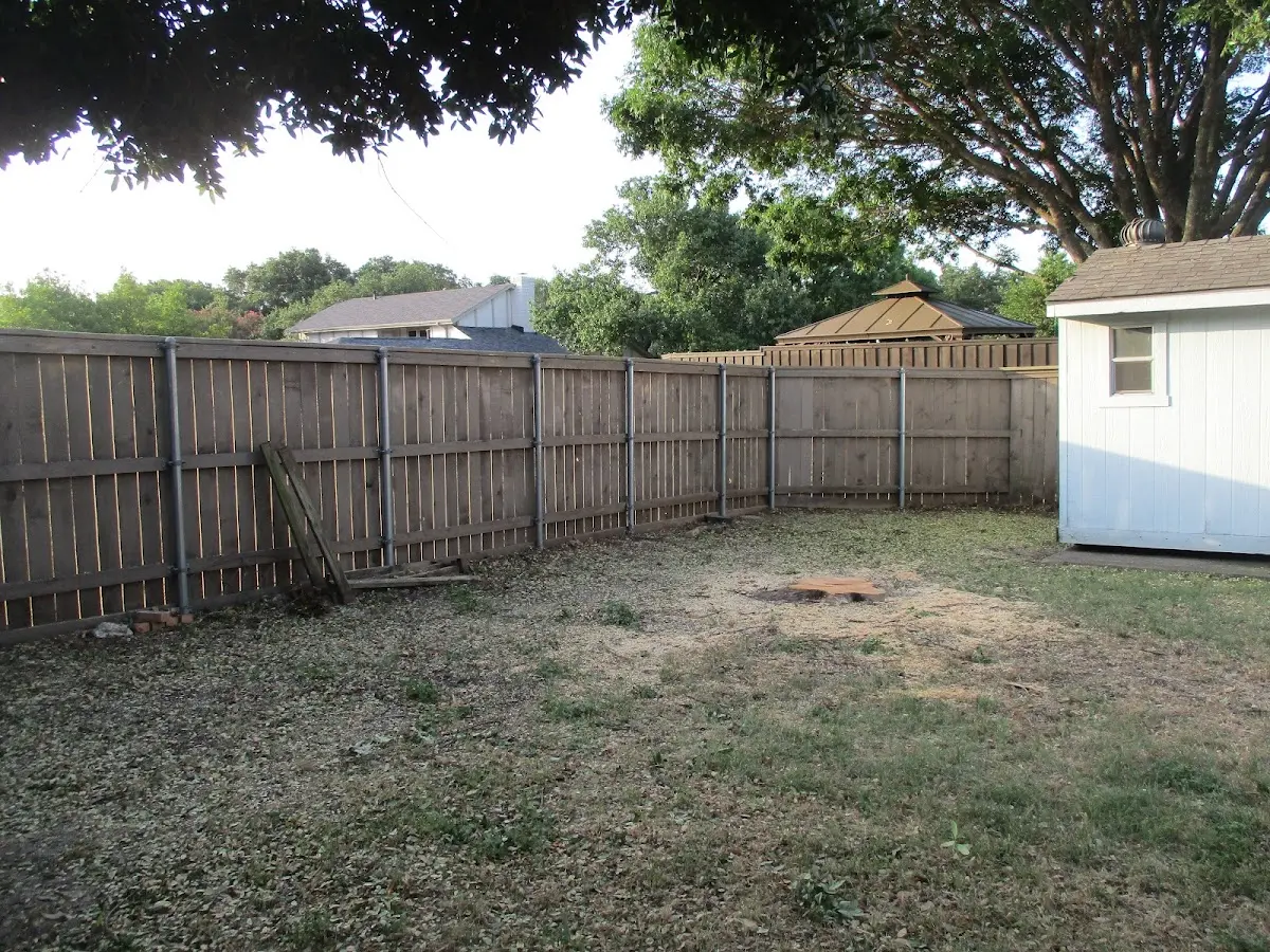 Cleared yard after professional tree removal in Arroyo Grande